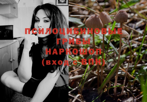 стаф Куйбышев