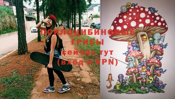 дмт Кулебаки