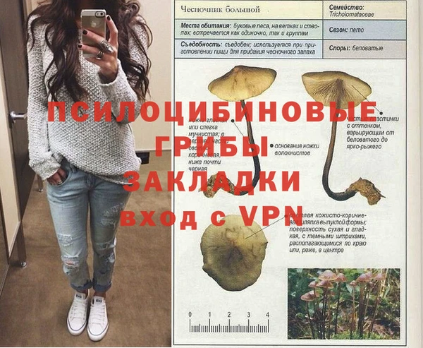 стаф Куйбышев