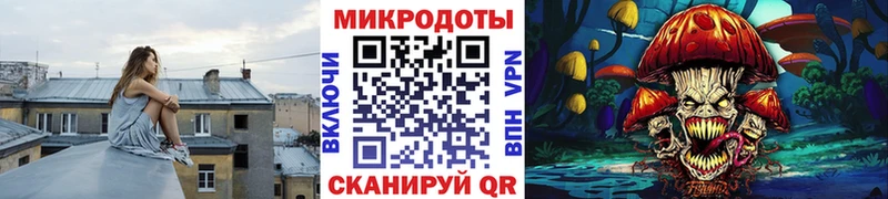 купить закладку  Балаково  Галлюциногенные грибы Psilocybe 